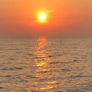 Meet your Posher, Leanne